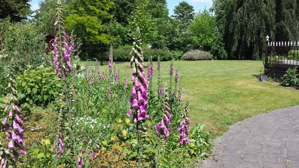 B&B Kasteel De Windt Nieuwkerken-Waas Esterno foto